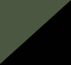 Schwarz/Oliv
